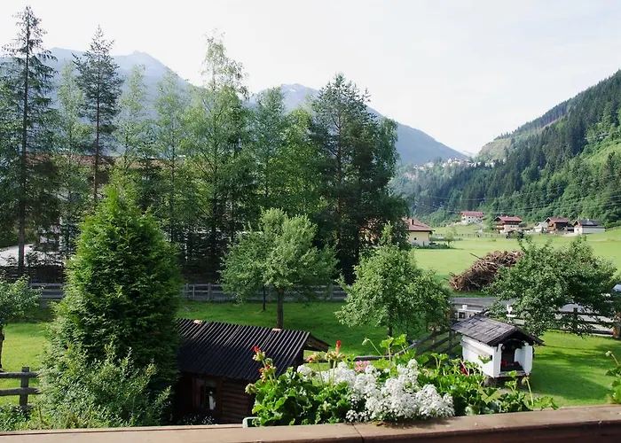 Scheibenhof