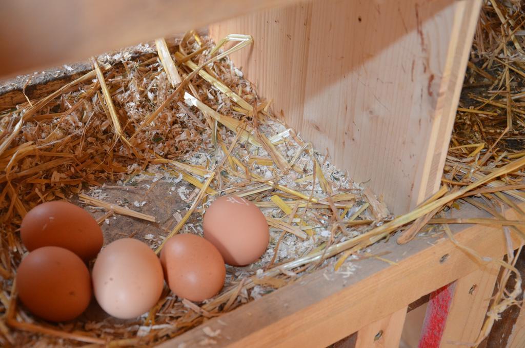 Scheibenhof Farm stay Bad Gastein