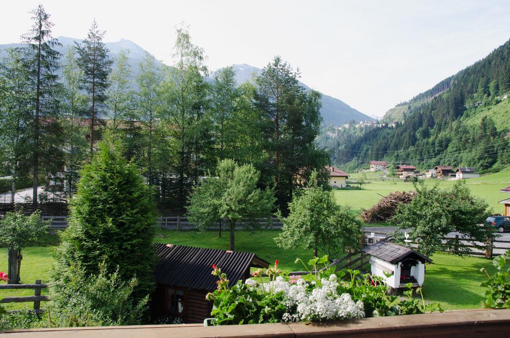 Scheibenhof *
