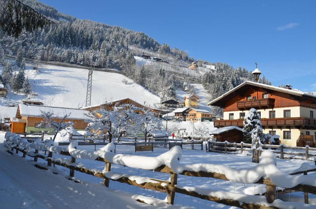 Scheibenhof Farm stay