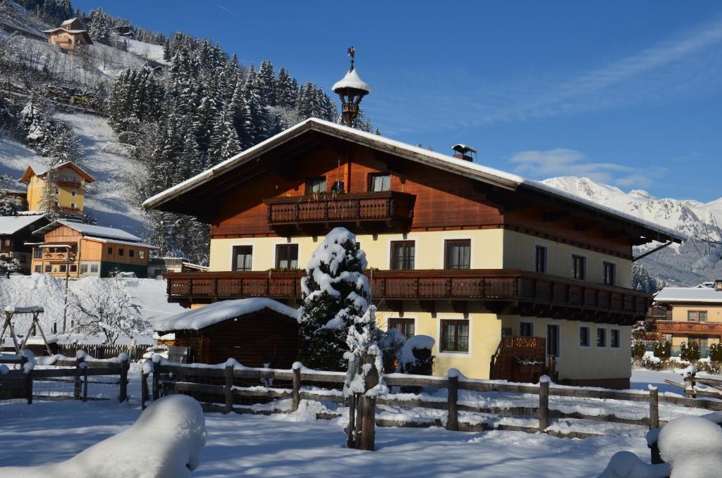 Scheibenhof